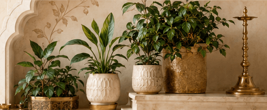 Home-ready indoor plants in handmade pots beside brass decor